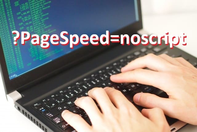 「?PageSpeed=noscript」でインデックスされないページの原因と解決策