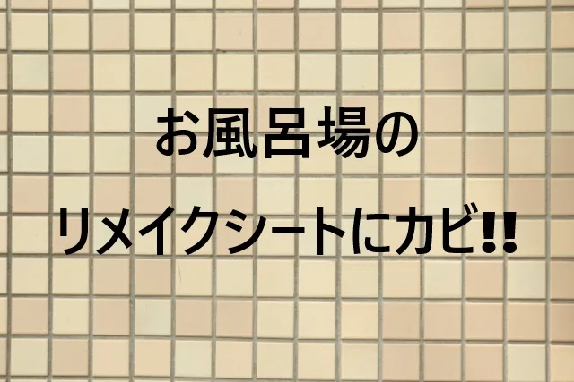 お風呂のリメイクシートでカビが心配？失敗しない施工方法と対策完全ガイド
